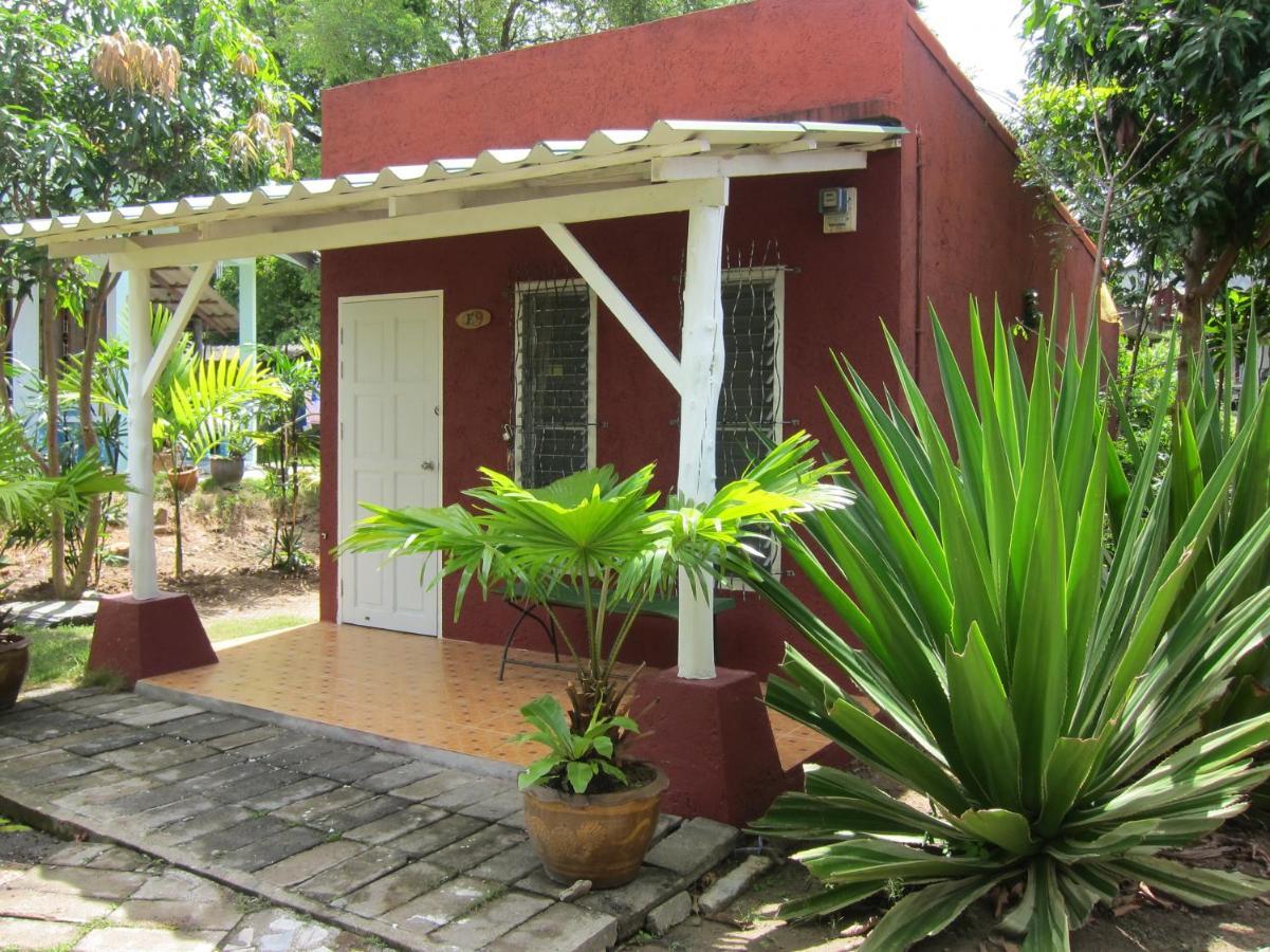 Forest Bungalows & Mama'S Restaurant Chalong Exteriér fotografie
