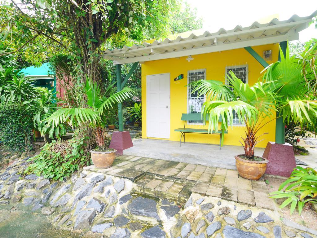 Forest Bungalows & Mama'S Restaurant Chalong Exteriér fotografie